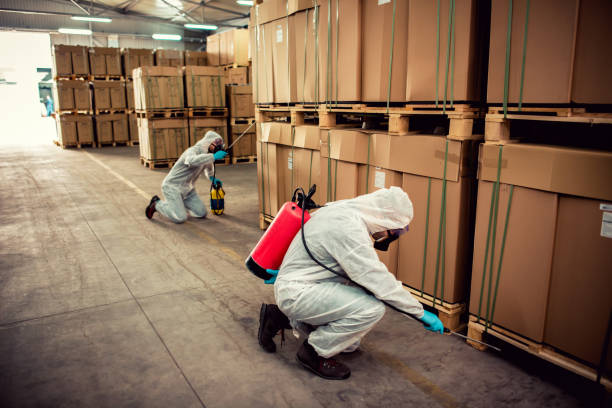 Best Wasp Removal Services  in Sanford, FL