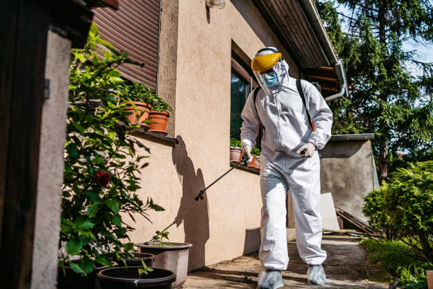 Best Rat Extermination Near Me  in Sanford, FL