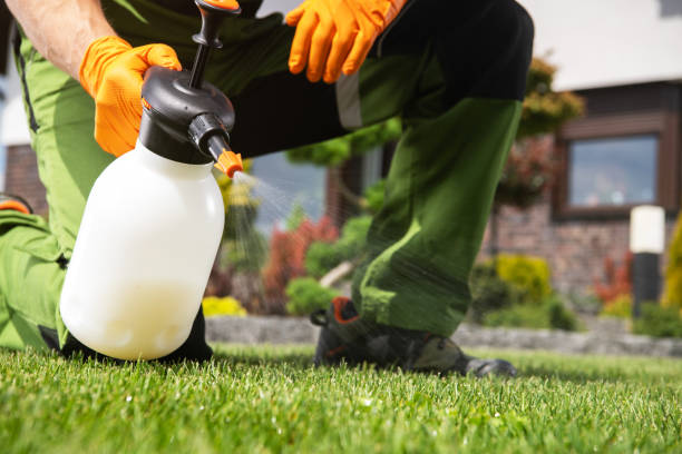 Best Insect Control  in Sanford, FL