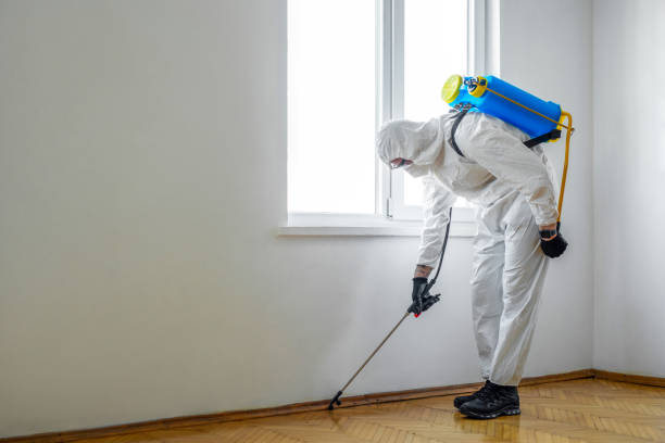 Best Termite Control Services  in Sanford, FL
