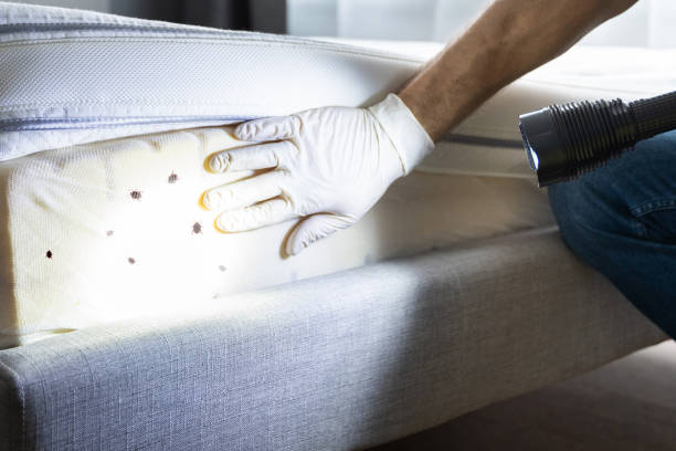 Wildlife Control Services in Sanford, FL