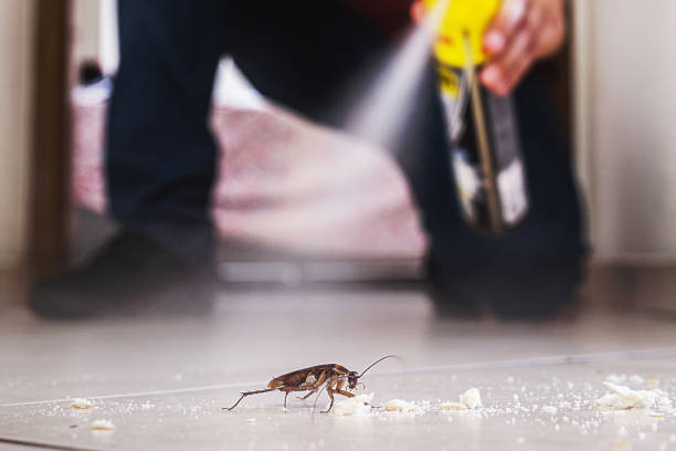 Pest Control Cost in Sanford, FL