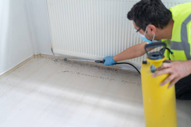Best Pest Control Near Me  in Sanford, FL