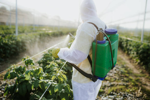 Best Ant Control Services  in Sanford, FL